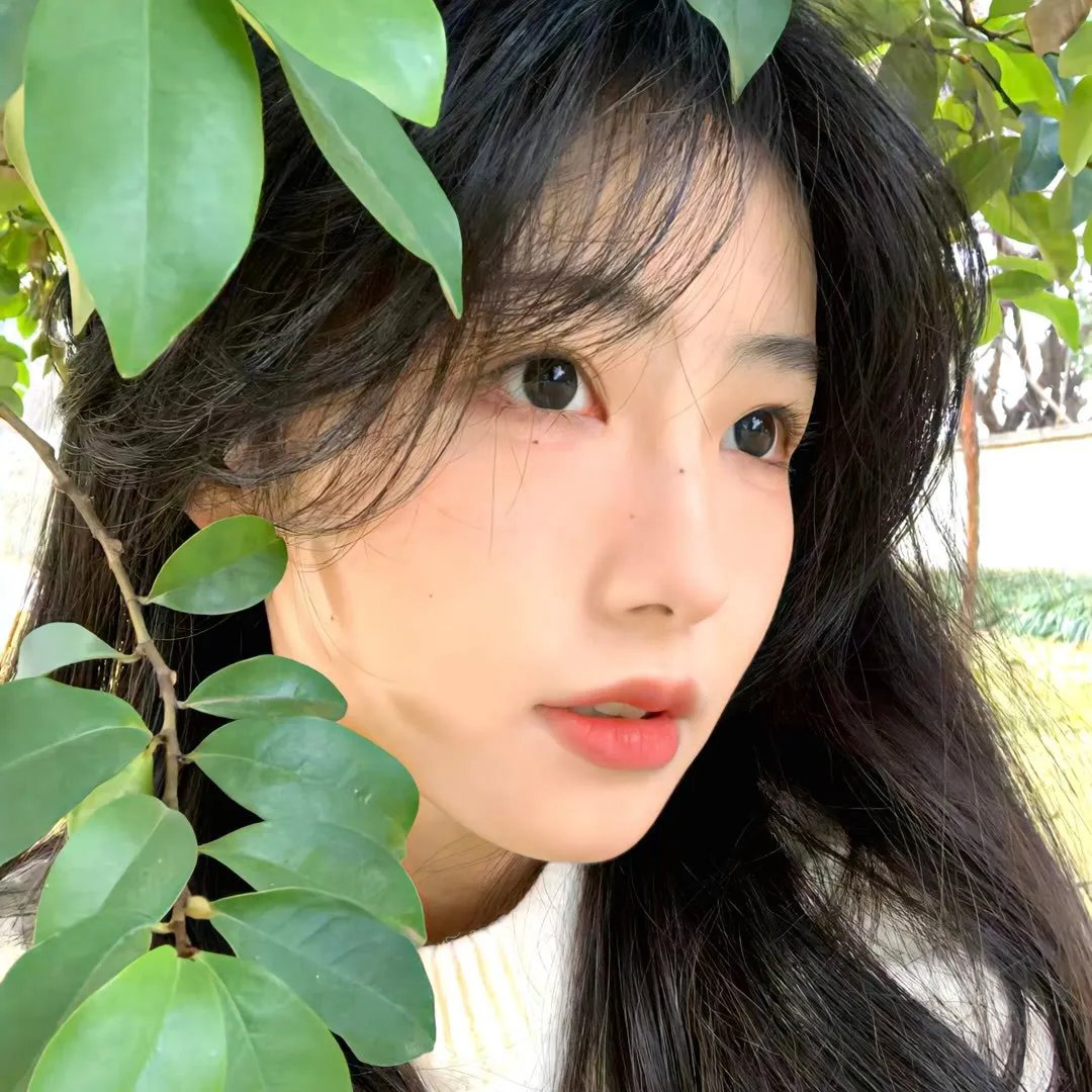 卡诺亚罪犯